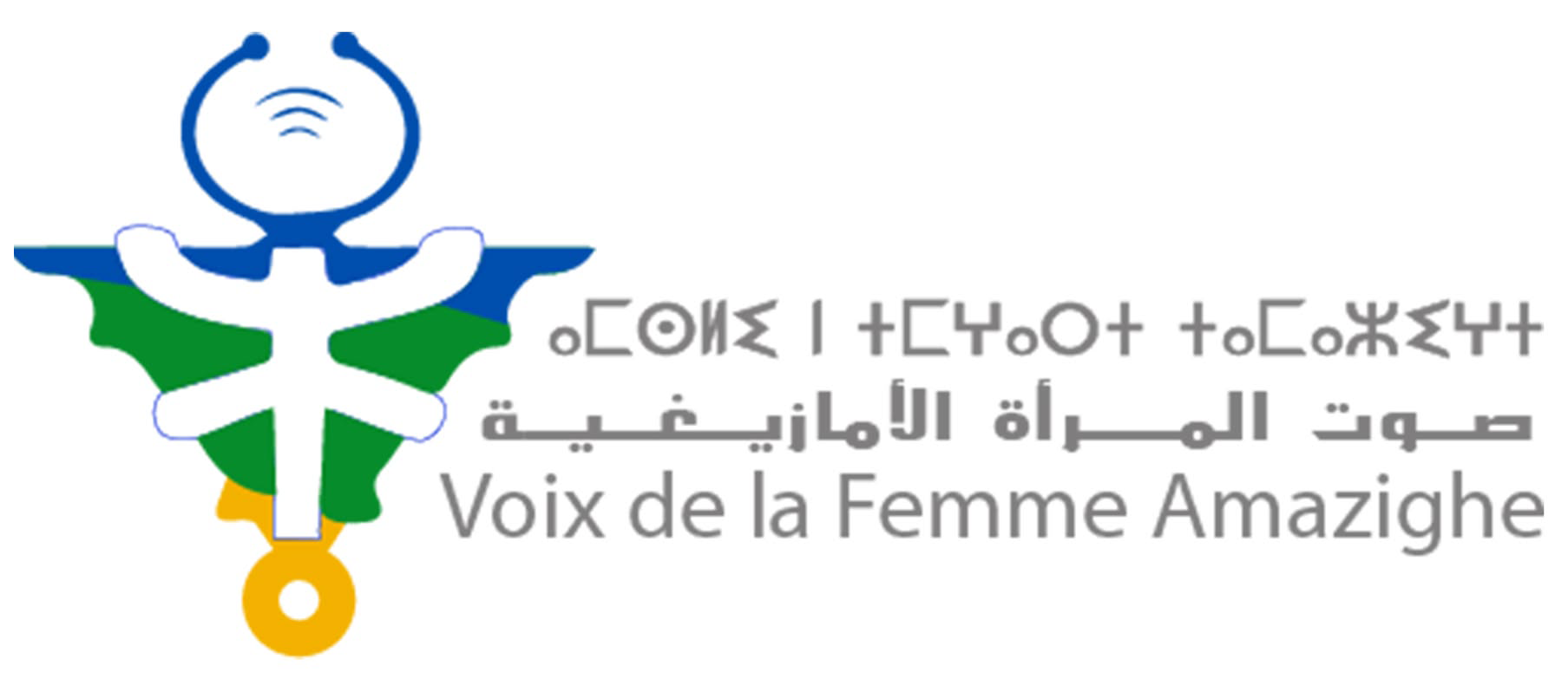 imsli.webp 